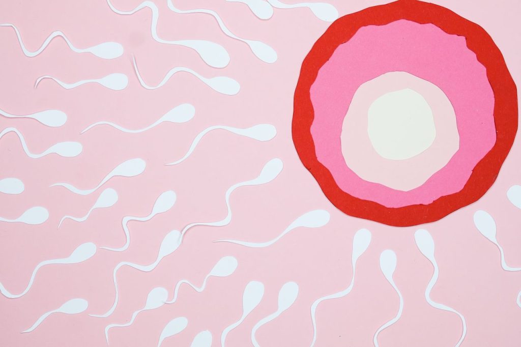 Creative illustration showing sperm moving towards an egg, symbolizing fertilization.